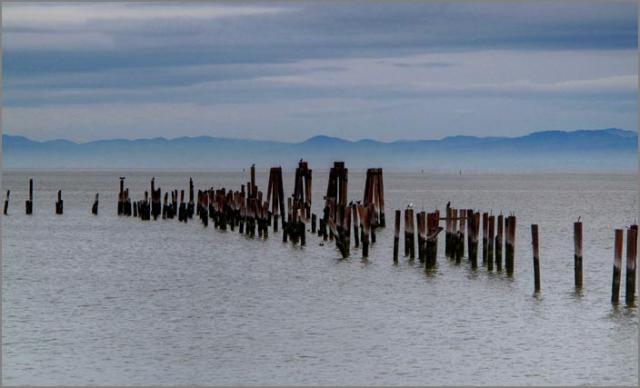 sm 100204 Pt. Pinole  31 hdr.jpg - The old pier.  Now a favorite bird habitat.